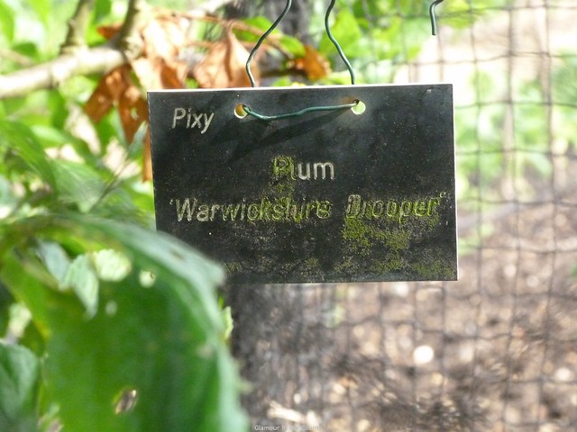 Houghton Hall walled garden (8)