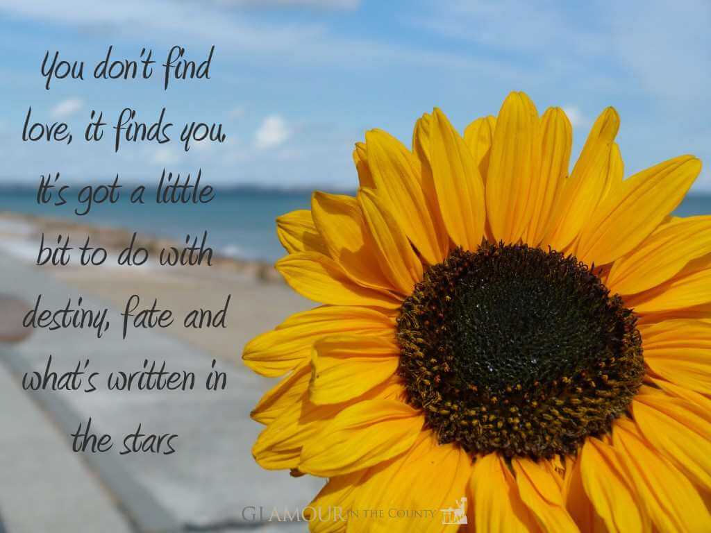 Quote - You don’t find love, <a href=