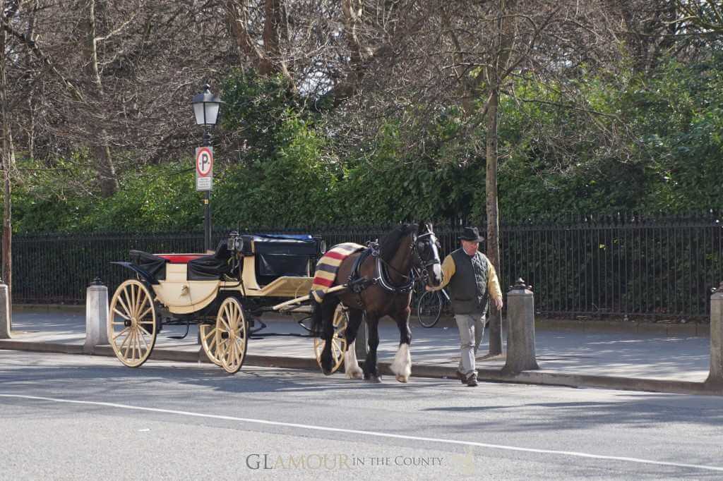 Horse and Cart in Dublin, Ireland