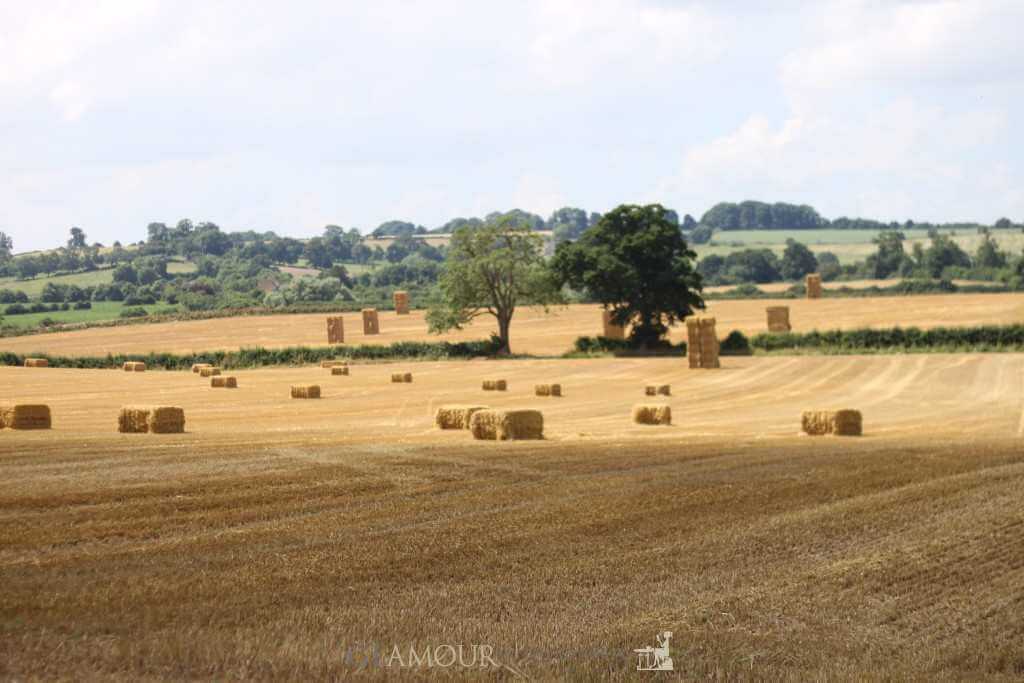 Rolling hills in the Cotswolds